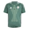 Maillot de Supporter Nigeria 2024 Verte Pour Homme